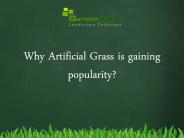 Why Artificial Grass is gaining popularity?