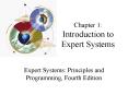 Chapter 1: Introduction to Expert Systems PowerPoint PPT Presentation
