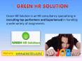 Greenhrs Recruitment consultancy for job seeker PowerPoint PPT Presentation