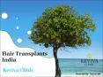 Hair Transplants India PowerPoint PPT Presentation