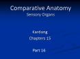 Comparative Anatomy Sensory Organs PowerPoint PPT Presentation
