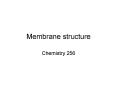 Membrane structure PowerPoint PPT Presentation