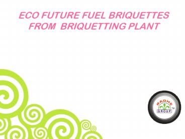 ECO FUTURE FUEL BRIQUETTES FROM  BRIQUETTING PLANT