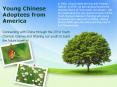 Young Chinese Adoptees from America PowerPoint PPT Presentation