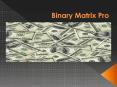 Binary Max Pro (Best autopilot software) PowerPoint PPT Presentation