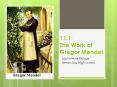11.1: The Work of Gregor Mendel PowerPoint PPT Presentation
