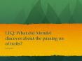 LEQ: What did Mendel discover about the passing on of traits? PowerPoint PPT Presentation