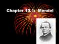 Chapter 10.1: Mendel PowerPoint PPT Presentation