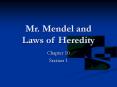 Mr. Mendel and Laws of Heredity PowerPoint PPT Presentation