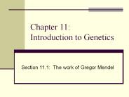 Chapter 11:  Introduction to Genetics