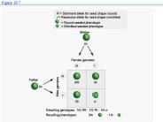 PowerPoint Presentation  -  WELCOME TO BIOLOGY 2002