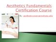 Aesthetics Fundamentals Certification Course PowerPoint PPT Presentation