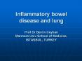 Inflammatory bowel disease and lung Prof Dr Berrin Ceyhan Marmara Univ School of Medicine, ISTANBUL, TURKEY PowerPoint PPT Presentation
