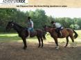 Get Pleasure from the Horse Riding Vacations in Latvia PowerPoint PPT Presentation