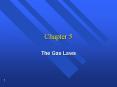 The Gas Laws PowerPoint PPT Presentation