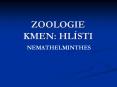 ZOOLOGIE KMEN: HL PowerPoint PPT Presentation