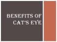 Various Benefits Of Cat’s Eye Stone PowerPoint PPT Presentation