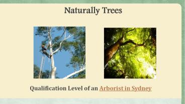 Naturally Trees - Expert Arborist in Sydney