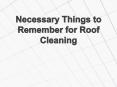 Necessary Things to Remember for Roof Cleaning PowerPoint PPT Presentation