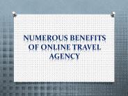Numerous Benefits of Online Travel Agency
