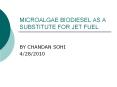 MICROALGAE BIODIESEL AS A SUBSTITUTE FOR JET FUEL PowerPoint PPT Presentation