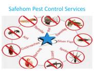 Safehom Pest Control Services