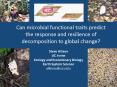 Can microbial functional traits predict the response and resilience of decomposition to global change? PowerPoint PPT Presentation