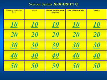 Nervous System JEOPARDY!! ?