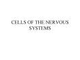 CELLS OF THE NERVOUS SYSTEMS PowerPoint PPT Presentation
