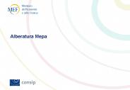 Il mercato elettronico della P.A.