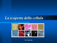 La scoperta della cellula