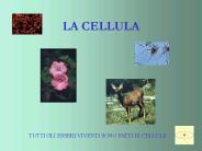 LA CELLULA