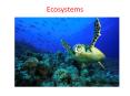 Ecosystems PowerPoint PPT Presentation
