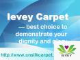 Brief Introduction of Ievey Carpet Products PowerPoint PPT Presentation