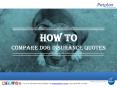 How to Compare Dog Insurance Quotes PowerPoint PPT Presentation