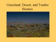 Grassland, Desert, and Tundra Biomes PowerPoint PPT Presentation