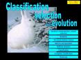 Classification PowerPoint PPT Presentation