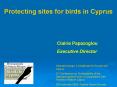 Ampelopoulia: the  PowerPoint PPT Presentation