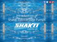 An Intro of Shakti Submersible Pumps PowerPoint PPT Presentation