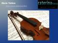 Violin Lessons Sutherland Shire PowerPoint PPT Presentation