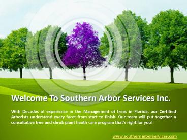 Residential & Commercial Trees Management Services