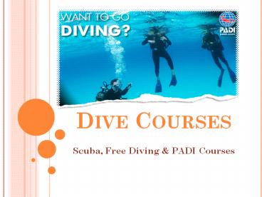 Scuba, Free Diving & PADI Courses in Australia