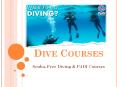 Scuba, Free Diving & PADI Courses in Australia PowerPoint PPT Presentation