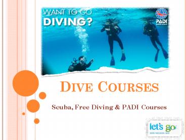 Scuba, Free Diving & PADI Courses in Australia - Lets Go Adventures