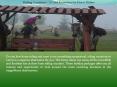 Riding Vacations - A Cool Excursion for Horse Riders PowerPoint PPT Presentation