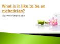 What is it like to be an esthetician? PowerPoint PPT Presentation