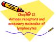 Chapter 12  Antigen receptors and accessory molecules of lymphocytes PowerPoint PPT Presentation