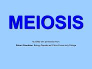 MEIOSIS