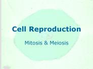 Cell Reproduction