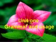 Unit one Grammar and usage PowerPoint PPT Presentation